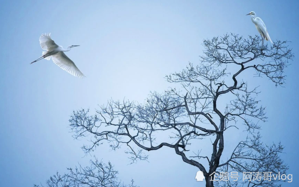 2021年淮南gdp_暗恋橘生淮南2021剧照(3)