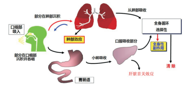 雾化吸入作用原理与适应症是什么_雾化治疗的作用是什么