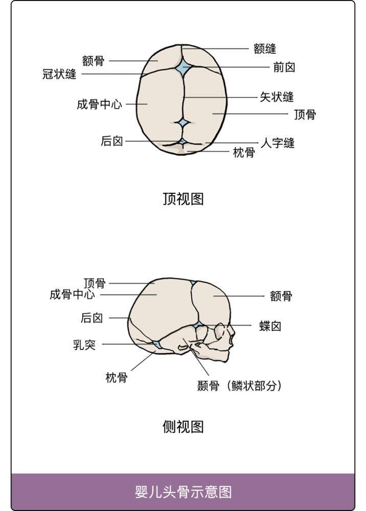 老一辈的审美依然被带偏得厉害 当你顶着 像被平底锅拍过的后脑勺时