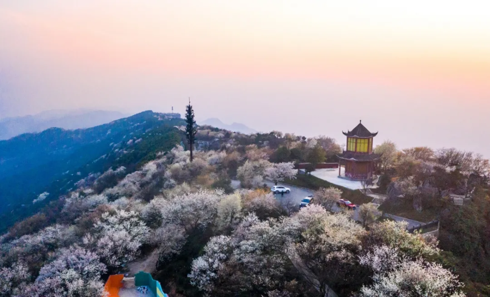 游玩云龟山景区,吃住在云龟山景区重庆鸳鸯树农庄家乐