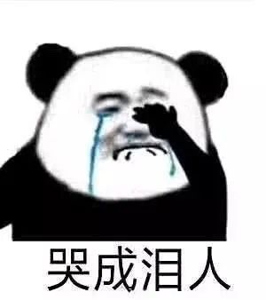 聊天必备表情包|别人参加女团 我打开美团