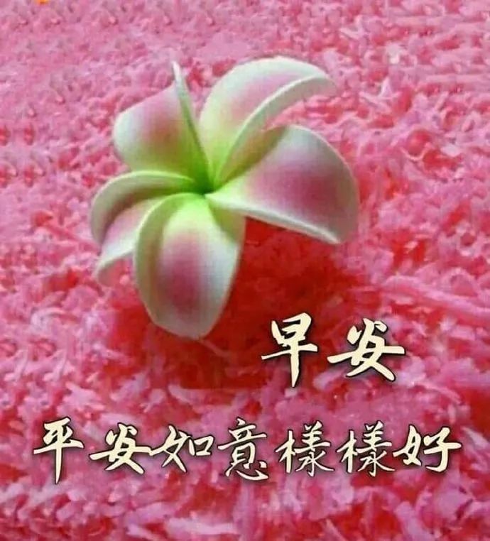 周二最新早上好祝福语简短春天最美早安问候动态图片带字语带鲜花