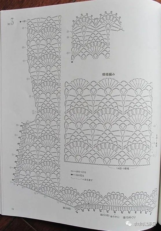 从上往下钩的菠萝花连肩袖钩针套头衫,线有多长钩多长