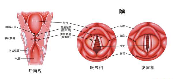 为什么喉咙里总有异物感