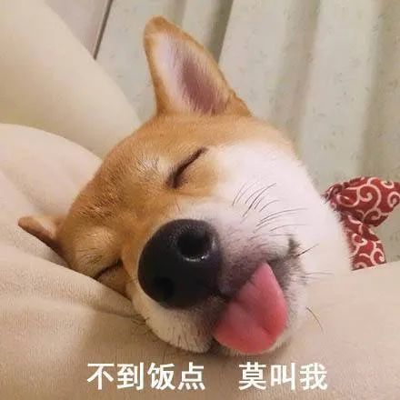 表情包:人家摔倒了,要亲亲才能起来