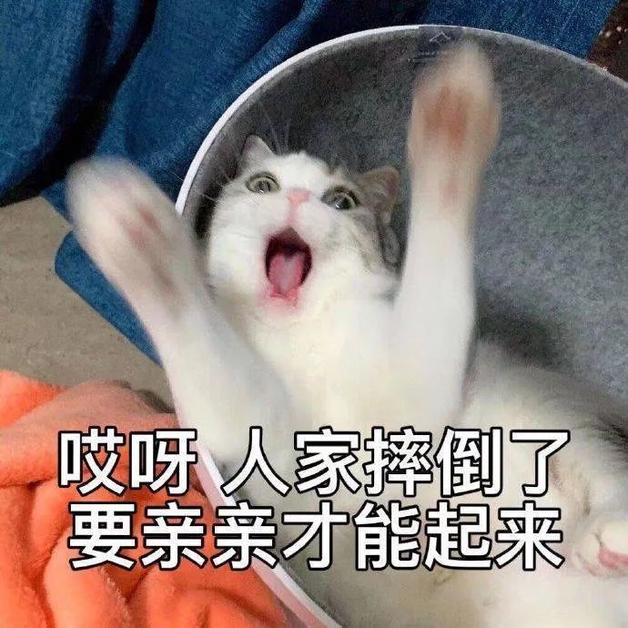 表情包:人家摔倒了,要亲亲才能起来
