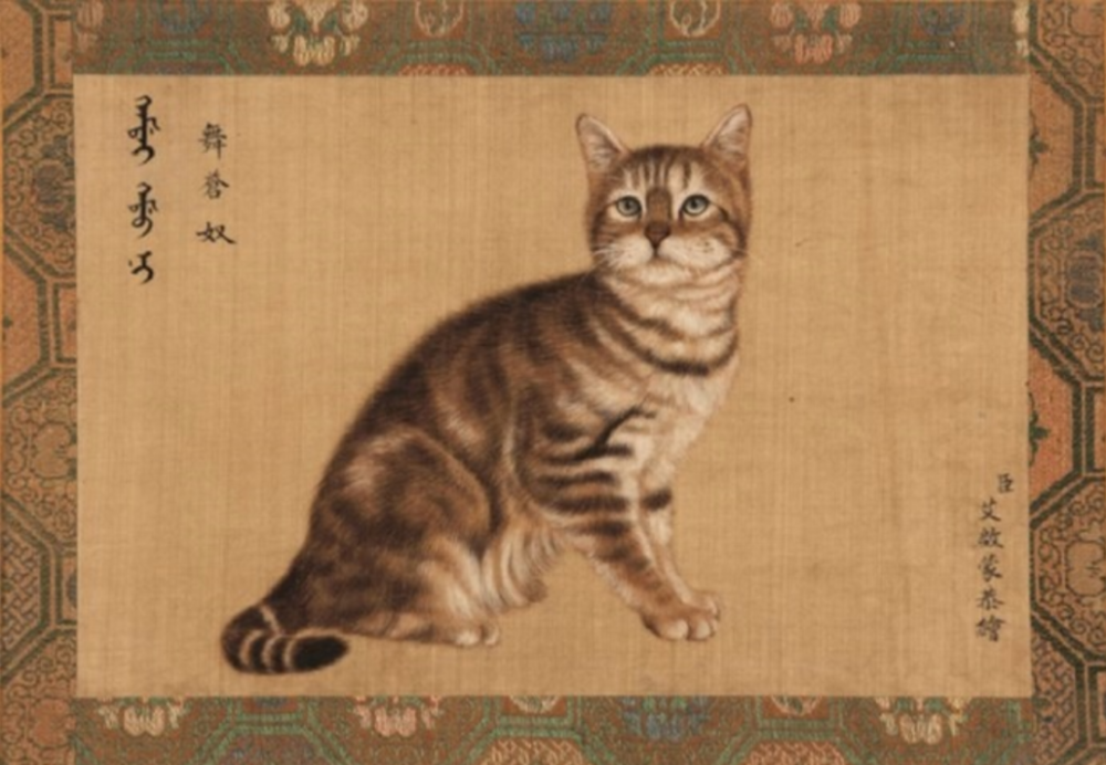 听完古代猫猫的名字,我家猫直接气哭了