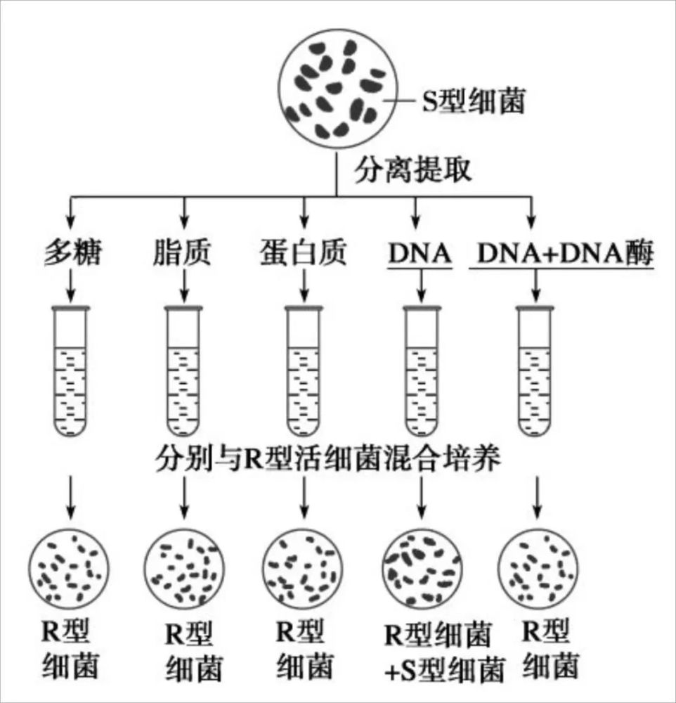 医史邮踪第五期为什么种瓜得瓜种豆得豆