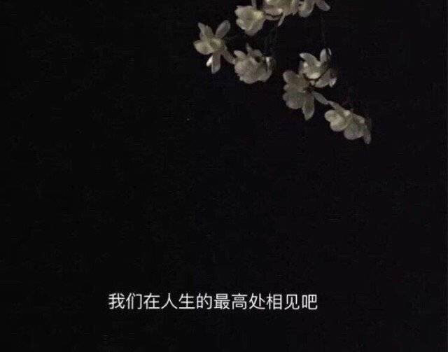 文案/那些李诞的人间清醒语录