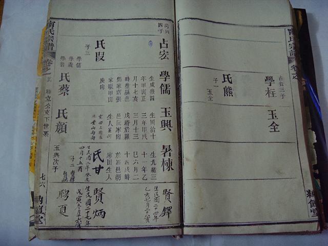 照字辈起什么名字好