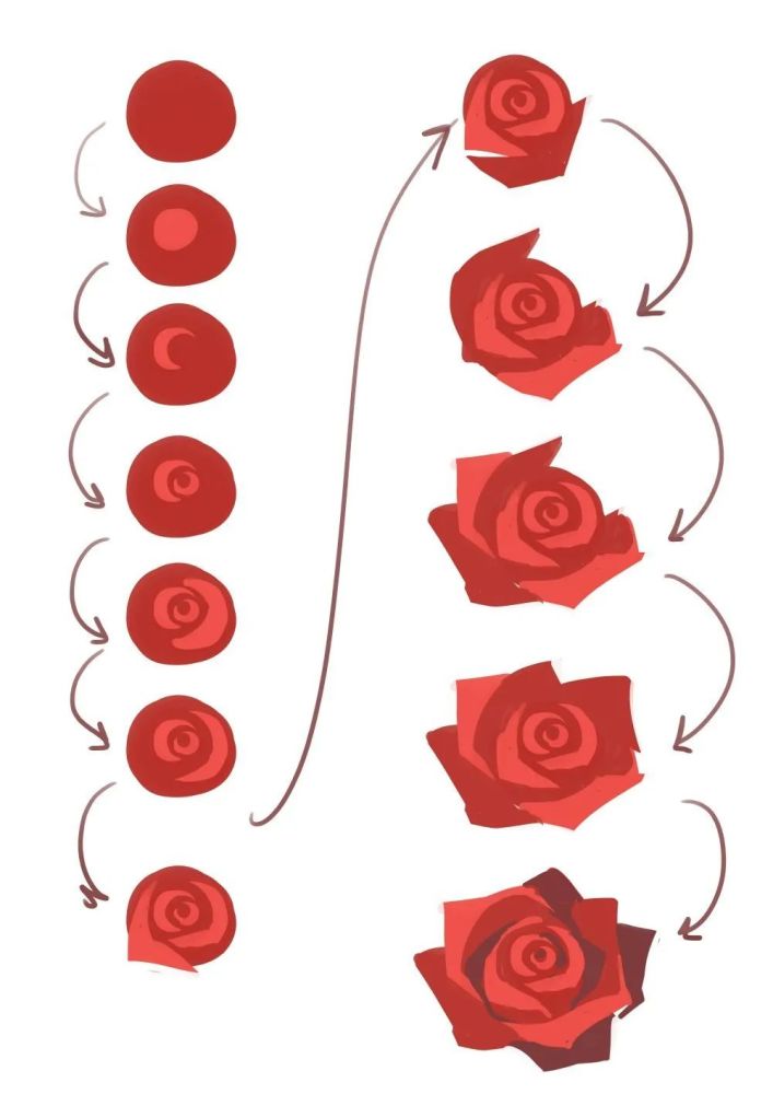 插画教程花朵教程玫瑰的画法