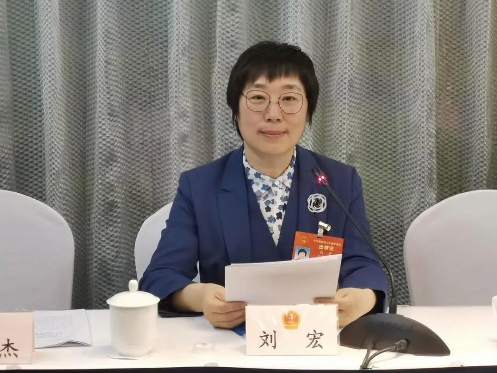 人大代表建议:哈大高铁延伸至大连旅顺口.期待能成真啊