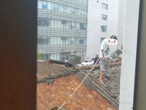 永嘉县多少人口_永嘉县公安局蒋毅