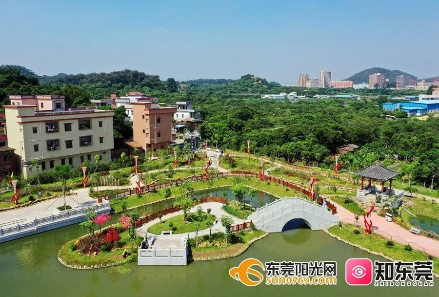 在东莞的公园做这些,小心被罚1000元!