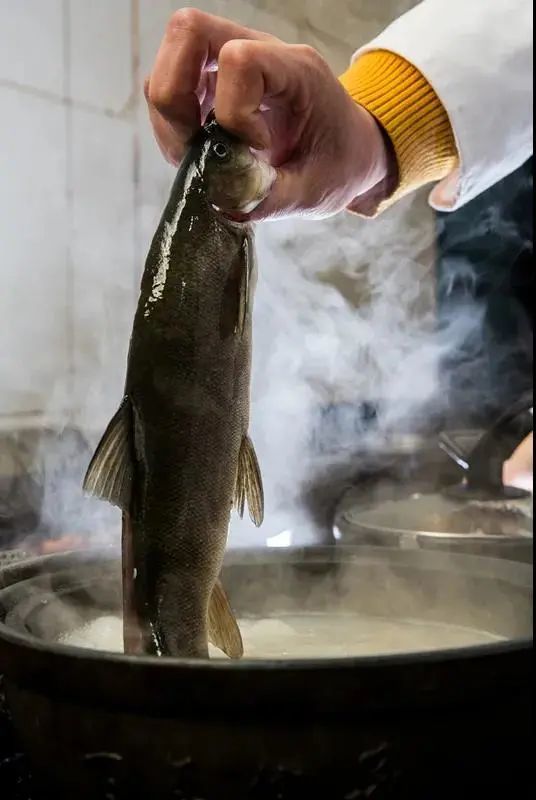 雨城美食丨砂锅雅鱼之春的味道