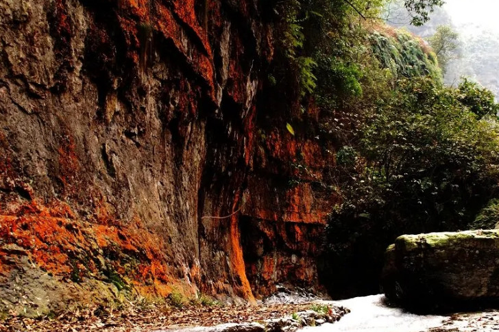 水富县gdp_水富县第一中学(3)