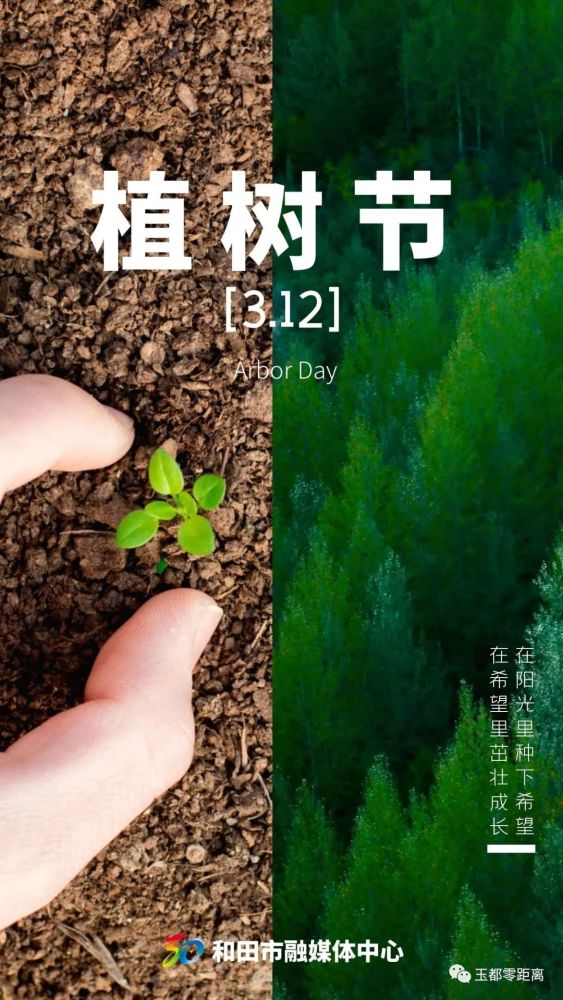 海报植树节洒下一颗种子收获一片森林