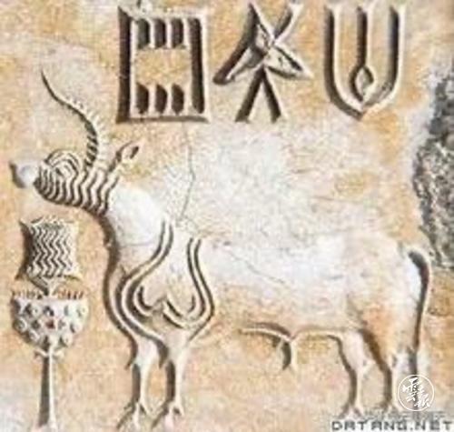 厉害了云南学者成功破解哈拉巴印章文字