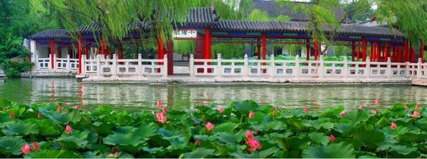 瞧一瞧!济南大明湖"醉"美的十大景观
