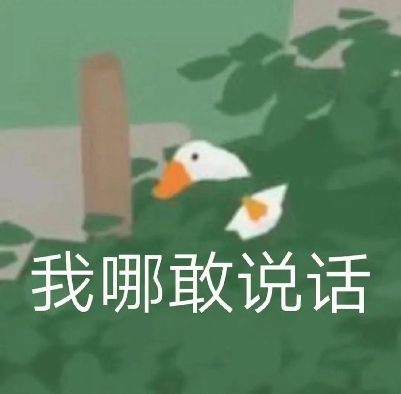 大鹅表情包合集