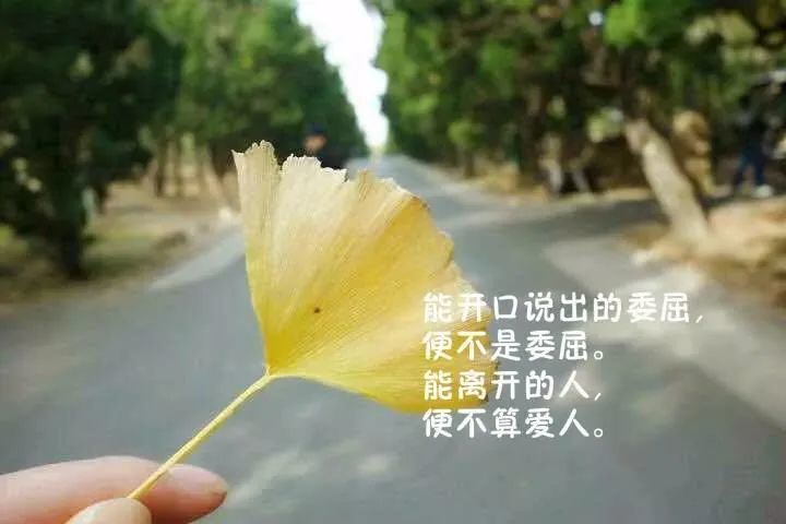 适合发朋友圈的说说晚安心情句子,触动心底的短语!