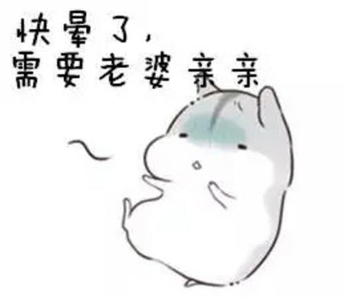 "逗女朋友开心的沙雕表情包"