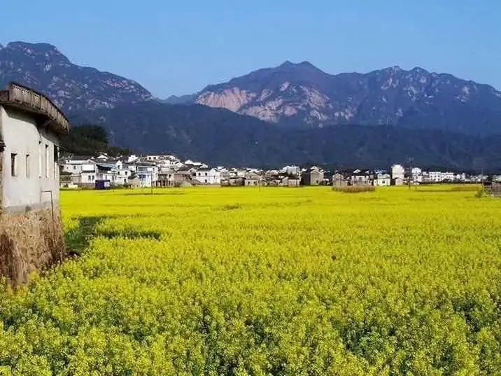 婺源人口少_婺源油菜花图片