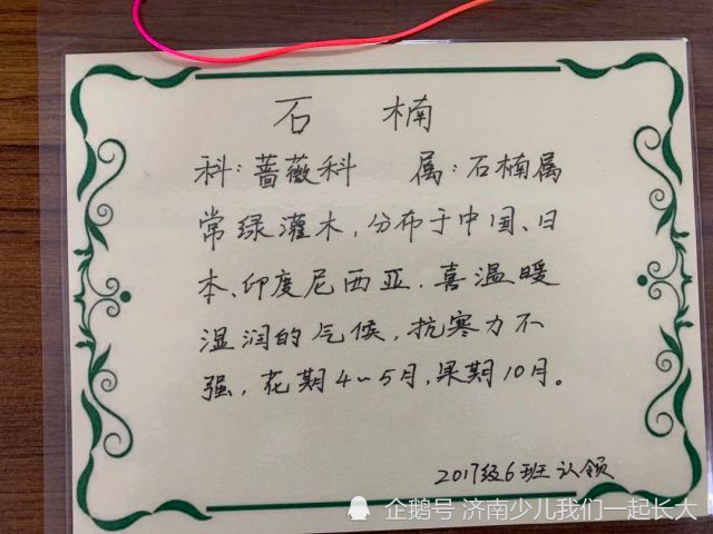 我和春天有个约会简谱_我和春天有个约会(2)