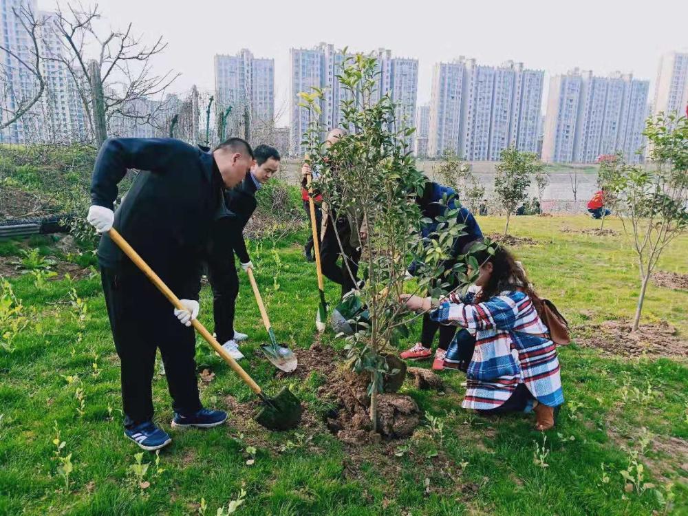 多种树一定是对的吗?这种树被许多地方摒弃,被称为"缺德树"