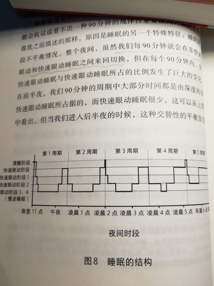 晚睡简谱_晚睡早起图片(2)