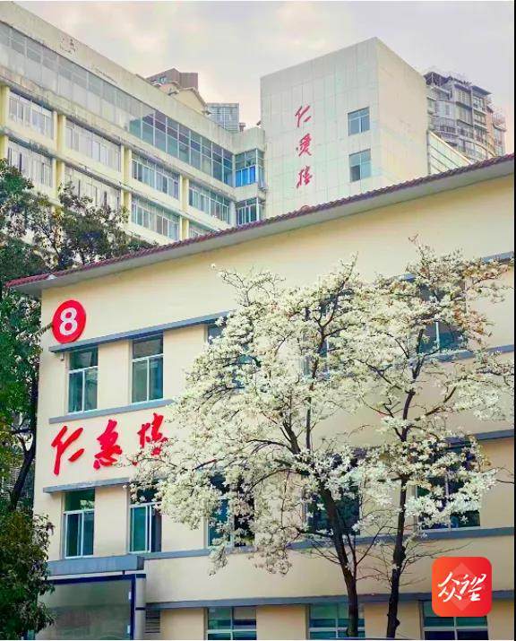 黔南州人民医院的春天