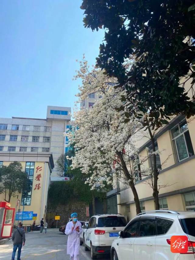 黔南州人民医院的春天