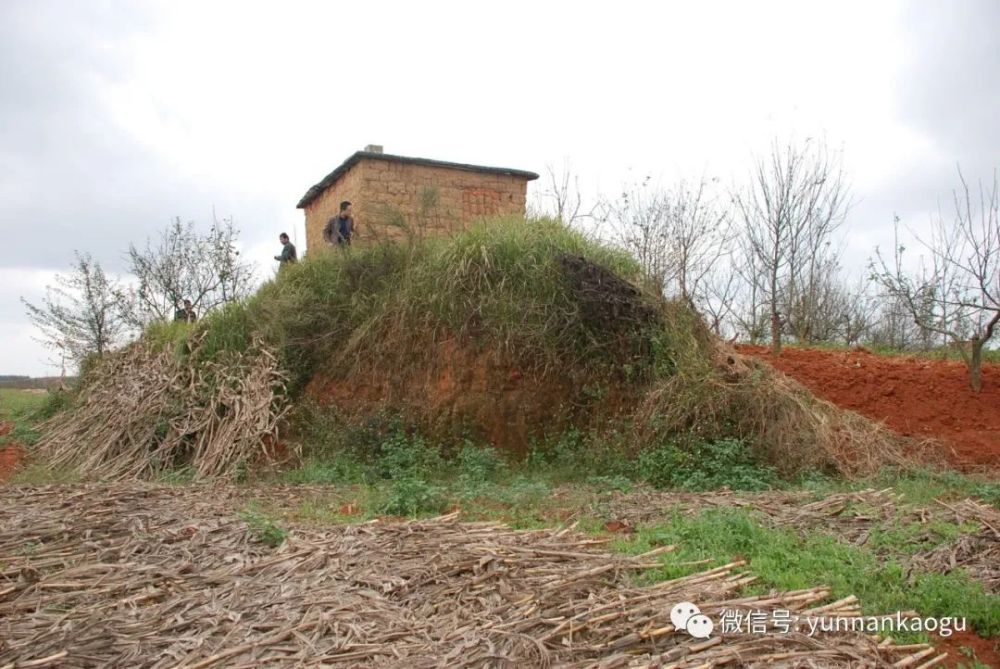 这种封土堆墓,其特点为地面有巨大的封土堆,封土以下为墓室,有的甚至