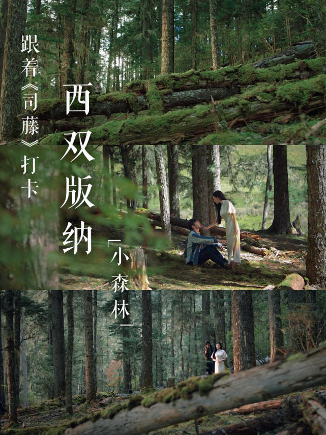 即便去过云南很多次,但看了《司藤》之后,依旧被云南的风景戳中.