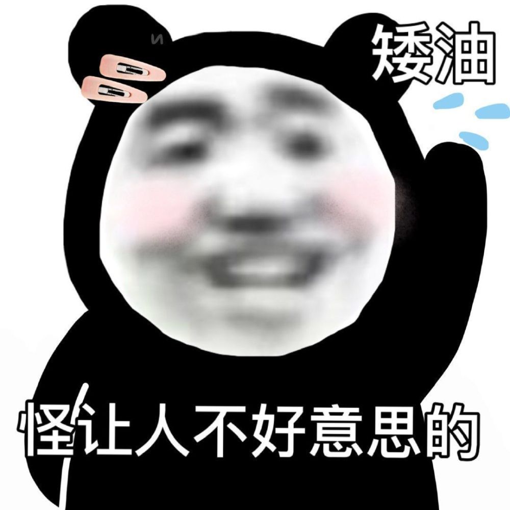 搞笑万能熊猫头表情包