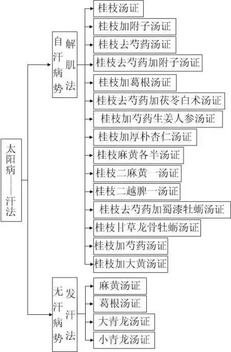 《伤寒论》六经系统完整图解,一目了然!