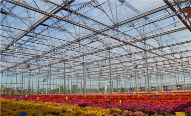 温室种植花卉,如何利用温度控制花期,达到最佳的经济效益