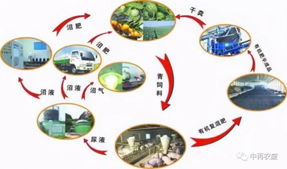 农业废弃物还能变废为宝?
