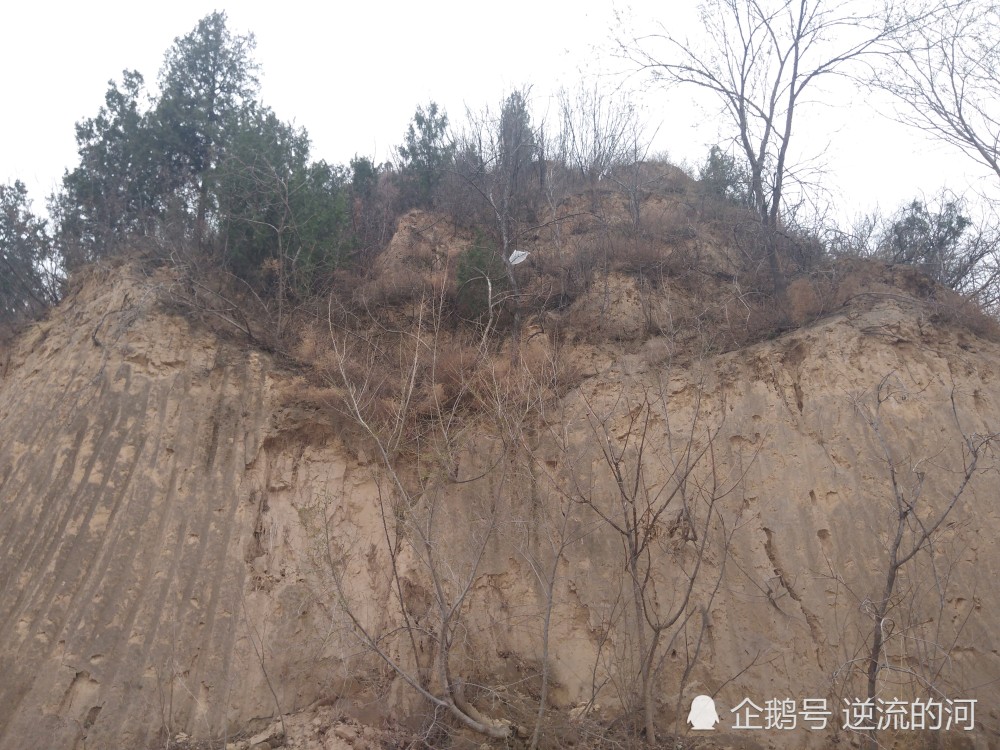 邙山风景区,郑州唯一的山,你来过这里吗