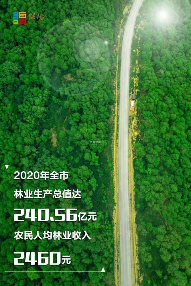 绵阳人均收入_绵阳米粉图片(2)
