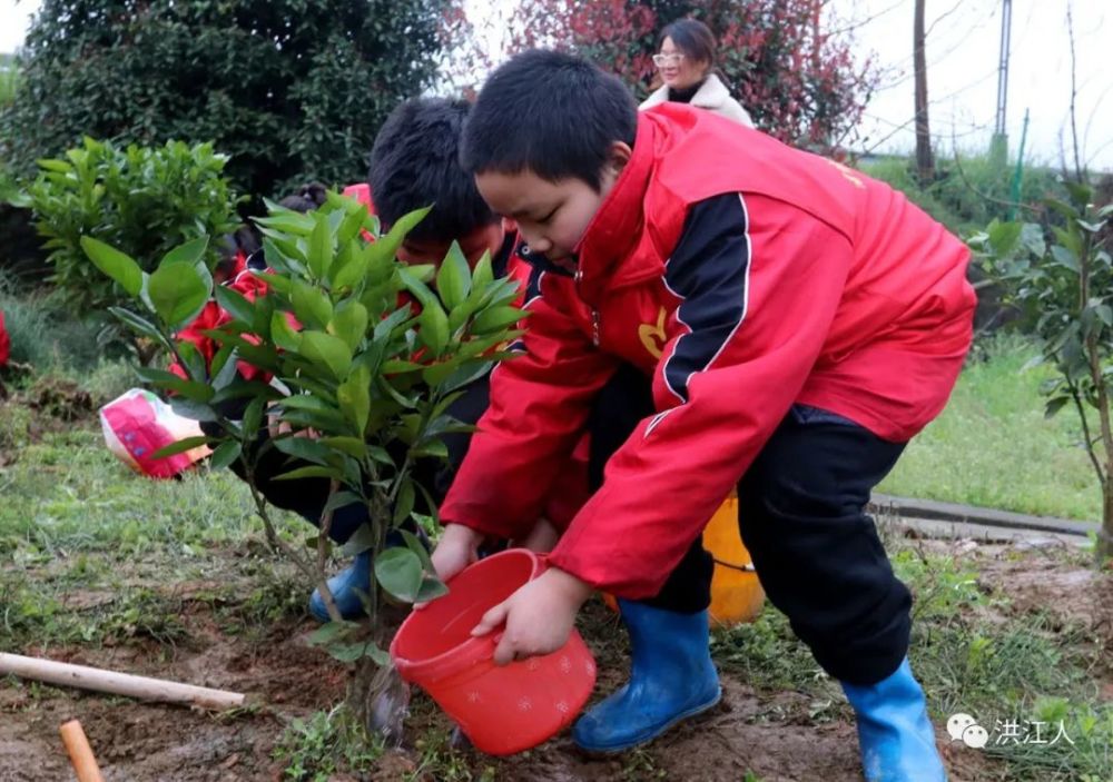 幸福路小学开展植树节活动