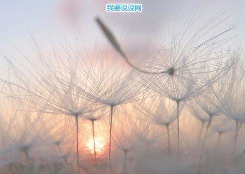 表达突然醒悟的精辟句子47句