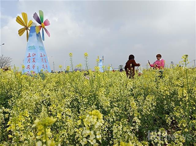 花开正好!2021江夏春季赏花游活动美丽开幕,还有十大活动等你来玩