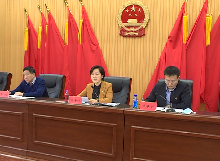 县委常委,常务副县长张国臣对依兰县财源建设工作进行安排部署