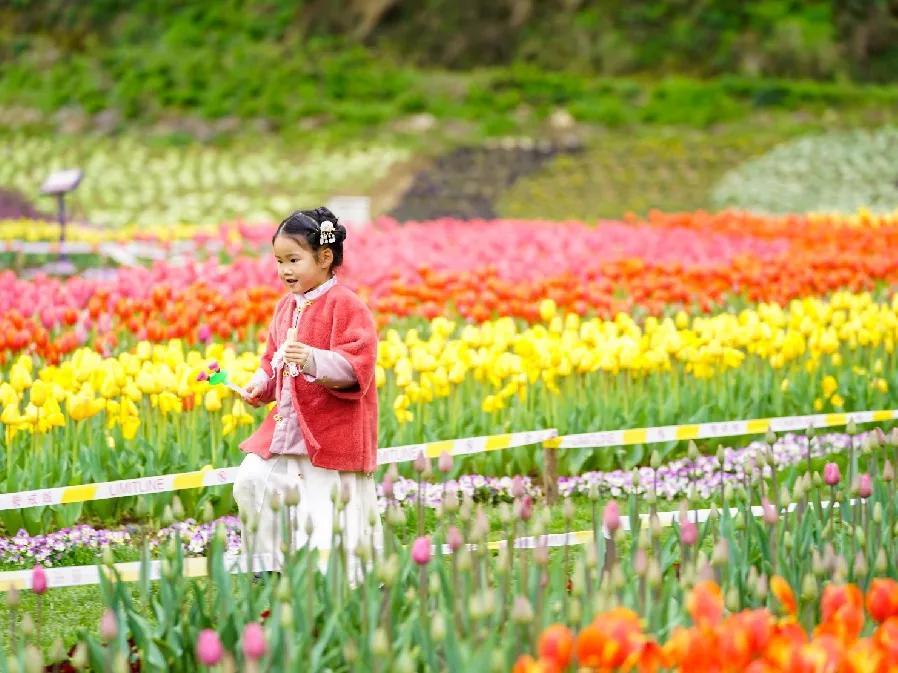 穿汉服赏春花英山四季花海春日精彩不断