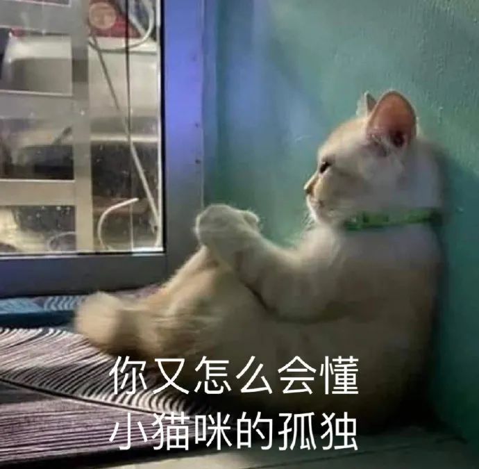 猩猩伸手要钱表情包 你可以的你是棒棒的小汪汪表情包