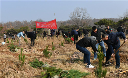 诸城市枳沟镇人口_诸城市枳沟镇北杏村(3)