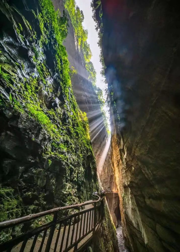 漫山樱花似彩云,重庆武陵山大裂谷踏青正当时