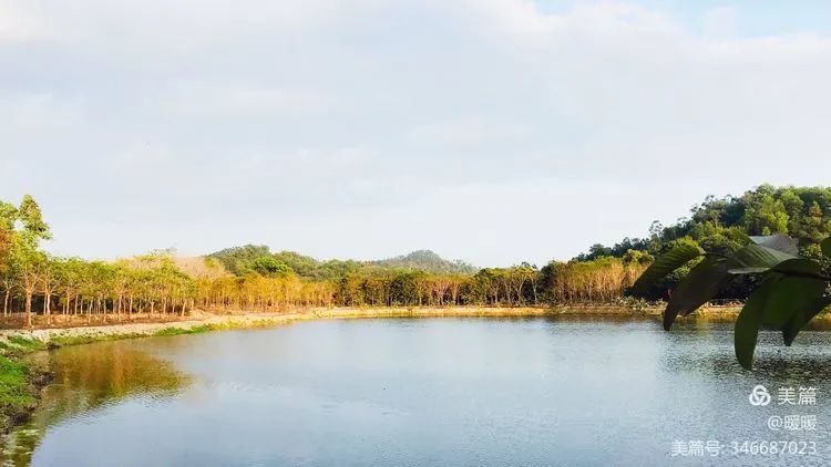 号外号外:揭西新开一家生态园,好玩好食免门票