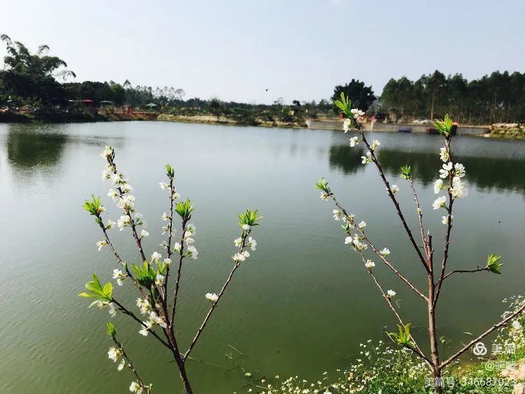 号外号外:揭西新开一家生态园,好玩好食免门票